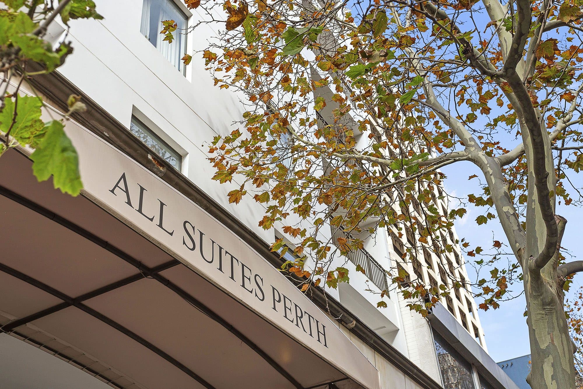 Victoria Avenue 407, Perth City — photograph 6